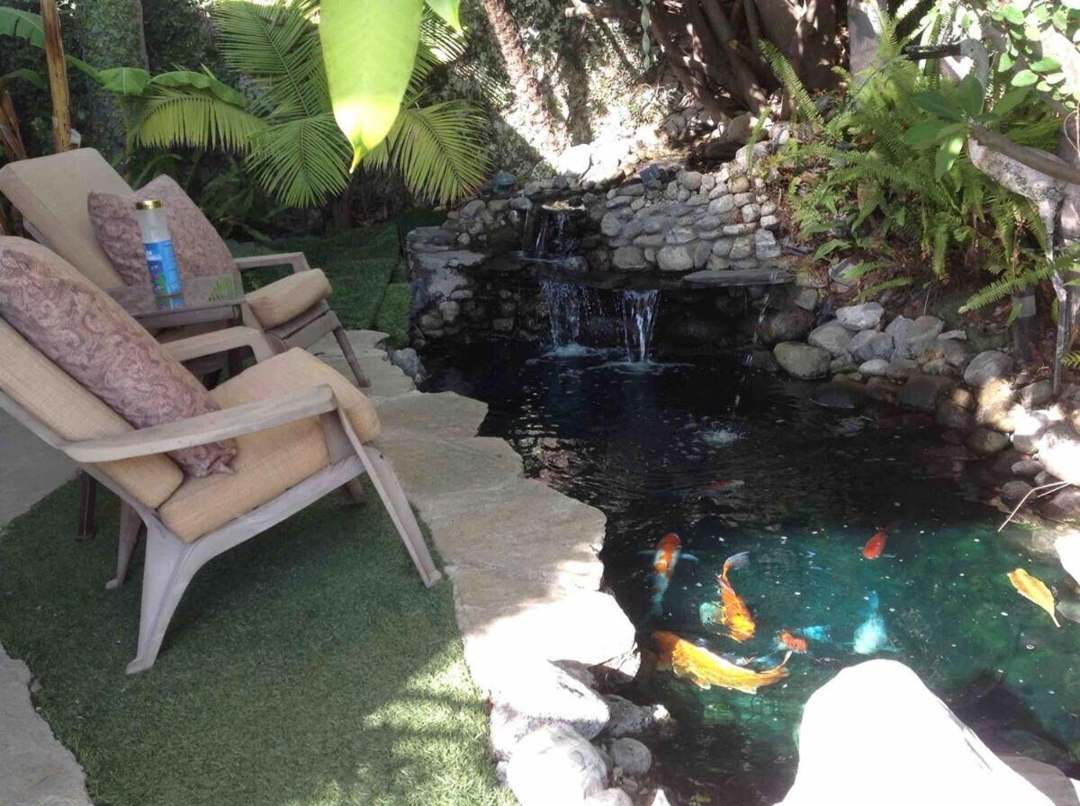 Shared Home Inglewood Esterno foto